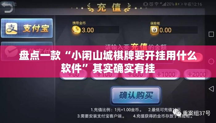 盘点一款“小闲山城棋牌要开挂用什么软件”其实确实有挂