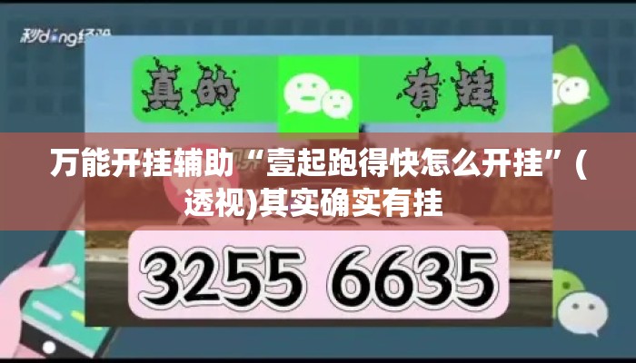 万能开挂辅助“壹起跑得快怎么开挂”(透视)其实确实有挂 