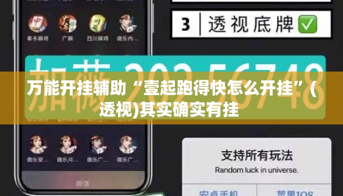 万能开挂辅助“壹起跑得快怎么开挂”(透视)其实确实有挂 
