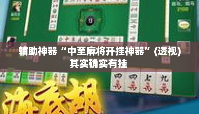 辅助神器“中至麻将开挂神器	”(透视)其实确实有挂 