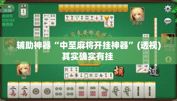 辅助神器“中至麻将开挂神器”(透视)其实确实有挂 