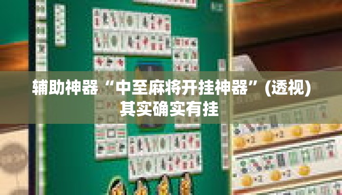 辅助神器“中至麻将开挂神器”(透视)其实确实有挂 