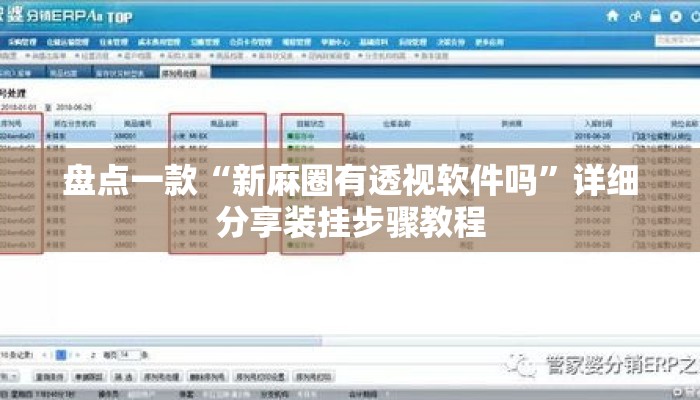 盘点一款“新麻圈有透视软件吗”详细分享装挂步骤教程