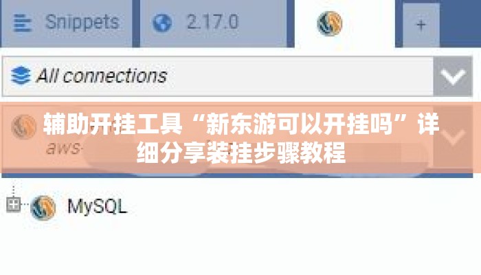 辅助开挂工具“新东游可以开挂吗”详细分享装挂步骤教程