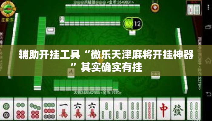 辅助开挂工具“微乐天津麻将开挂神器	”其实确实有挂