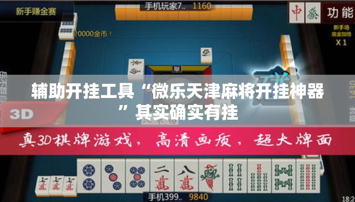 辅助开挂工具“微乐天津麻将开挂神器”其实确实有挂