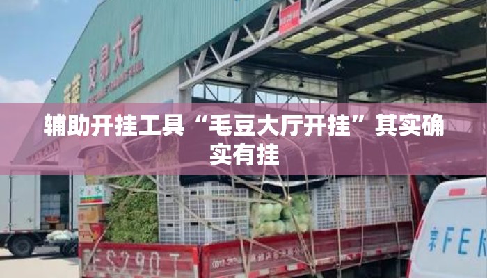辅助开挂工具“毛豆大厅开挂”其实确实有挂