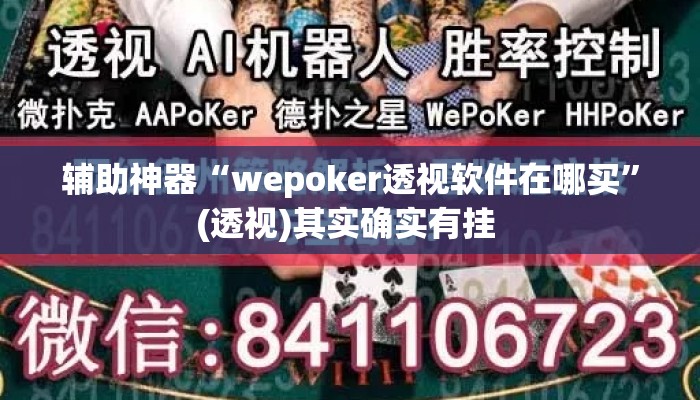 辅助神器“wepoker透视软件在哪买”(透视)其实确实有挂 