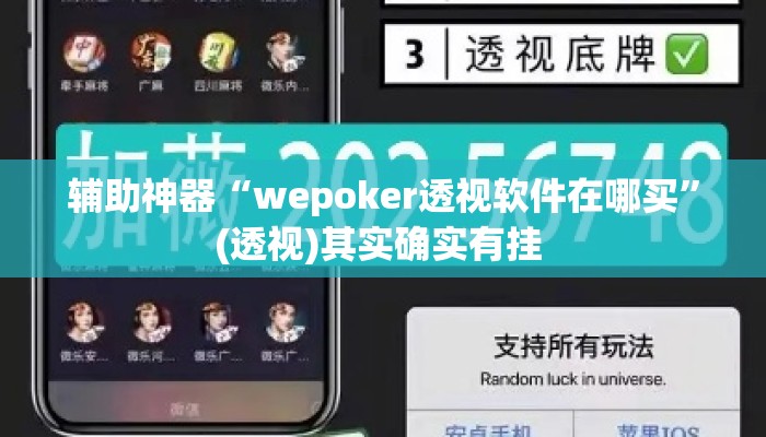 辅助神器“wepoker透视软件在哪买”(透视)其实确实有挂 