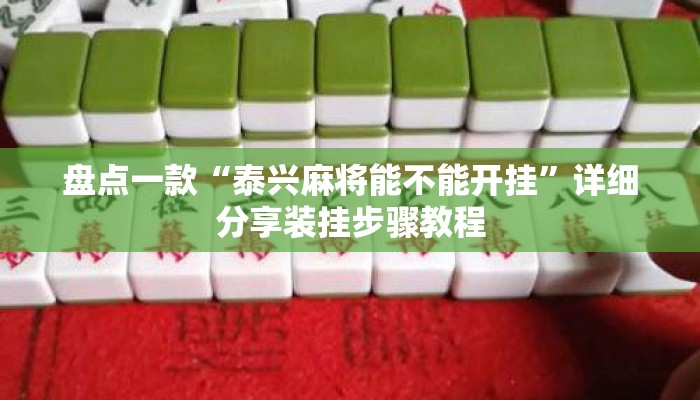 盘点一款“泰兴麻将能不能开挂	”详细分享装挂步骤教程