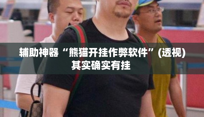 辅助神器“熊猫开挂作弊软件”(透视)其实确实有挂 