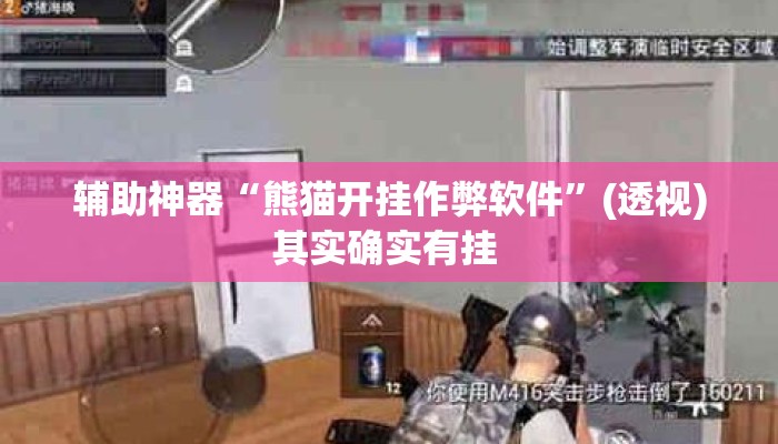 辅助神器“熊猫开挂作弊软件”(透视)其实确实有挂 