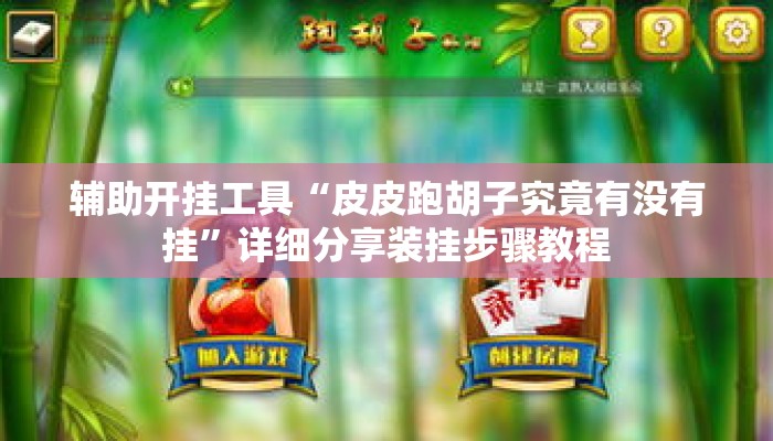 辅助开挂工具“皮皮跑胡子究竟有没有挂”详细分享装挂步骤教程