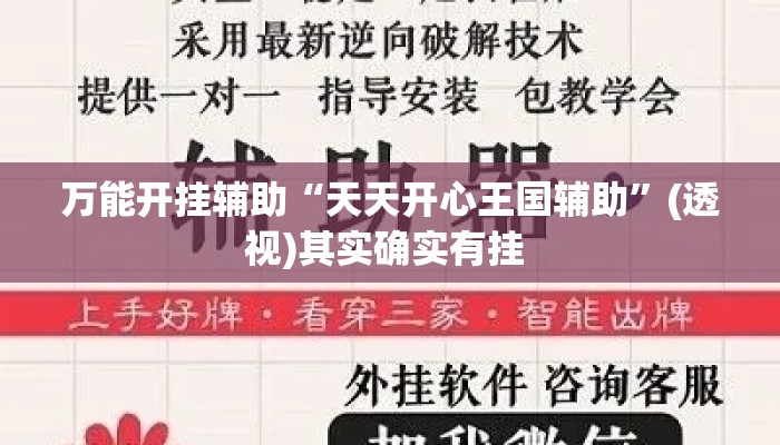 万能开挂辅助“天天开心王国辅助	”(透视)其实确实有挂 