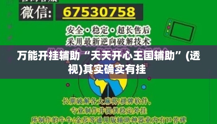 万能开挂辅助“天天开心王国辅助”(透视)其实确实有挂 