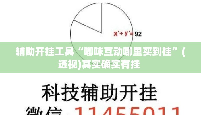 辅助开挂工具“嘟咪互动哪里买到挂	”(透视)其实确实有挂 