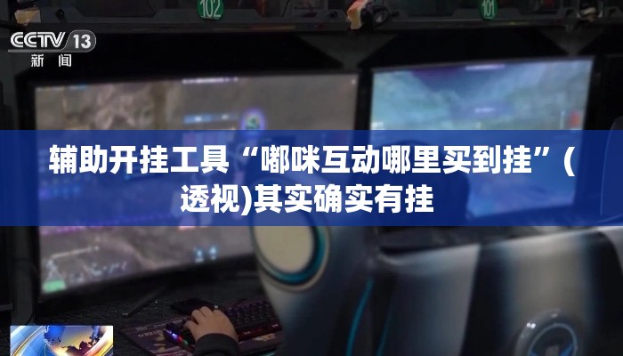辅助开挂工具“嘟咪互动哪里买到挂”(透视)其实确实有挂 