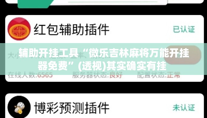 辅助开挂工具“微乐吉林麻将万能开挂器免费”(透视)其实确实有挂 