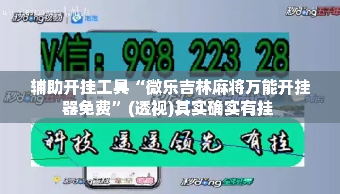 辅助开挂工具“微乐吉林麻将万能开挂器免费”(透视)其实确实有挂 