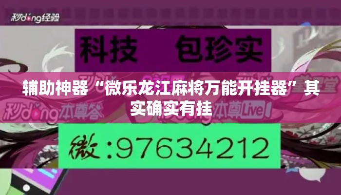 辅助神器“微乐龙江麻将万能开挂器”其实确实有挂