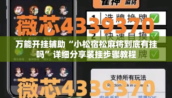 万能开挂辅助“小松宿松麻将到底有挂吗”详细分享装挂步骤教程