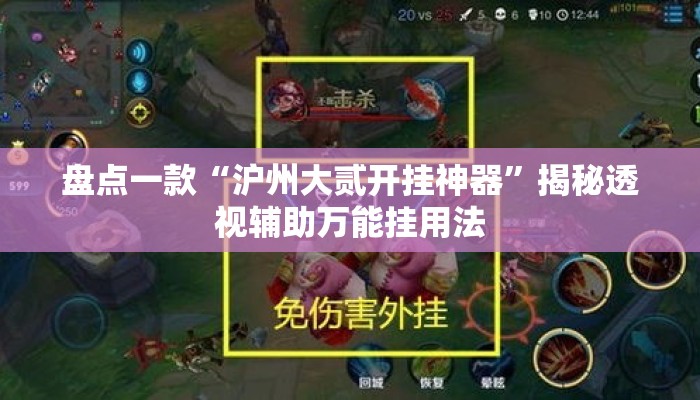 盘点一款“沪州大贰开挂神器	”揭秘透视辅助万能挂用法