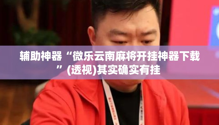 辅助神器“微乐云南麻将开挂神器下载”(透视)其实确实有挂 