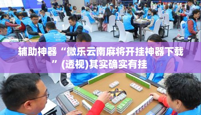 辅助神器“微乐云南麻将开挂神器下载”(透视)其实确实有挂 