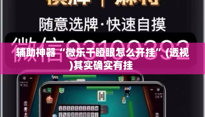 辅助神器“微乐干瞪眼怎么开挂”(透视)其实确实有挂 