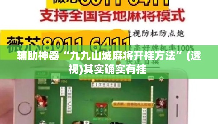 辅助神器“九九山城麻将开挂方法	”(透视)其实确实有挂 