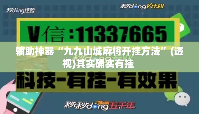 辅助神器“九九山城麻将开挂方法”(透视)其实确实有挂 