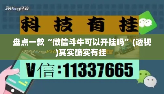 盘点一款“微信斗牛可以开挂吗	”(透视)其实确实有挂 