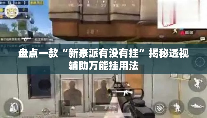 盘点一款“新豪派有没有挂”揭秘透视辅助万能挂用法