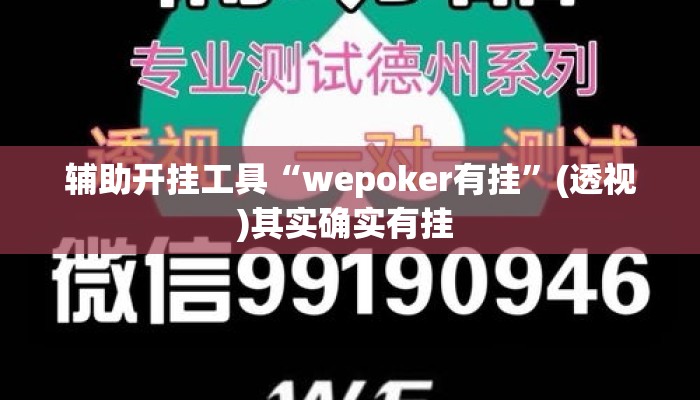 辅助开挂工具“wepoker有挂”(透视)其实确实有挂 