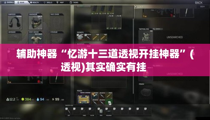 辅助神器“忆游十三道透视开挂神器	”(透视)其实确实有挂 