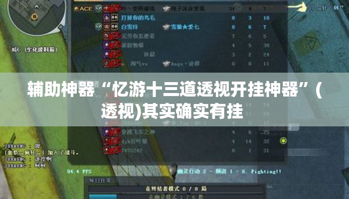 辅助神器“忆游十三道透视开挂神器”(透视)其实确实有挂 