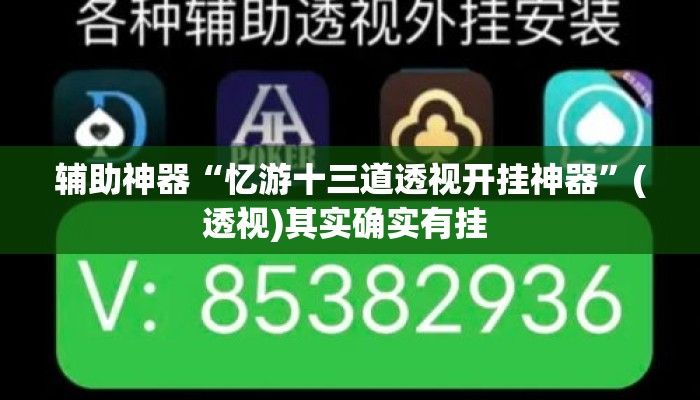 辅助神器“忆游十三道透视开挂神器”(透视)其实确实有挂 