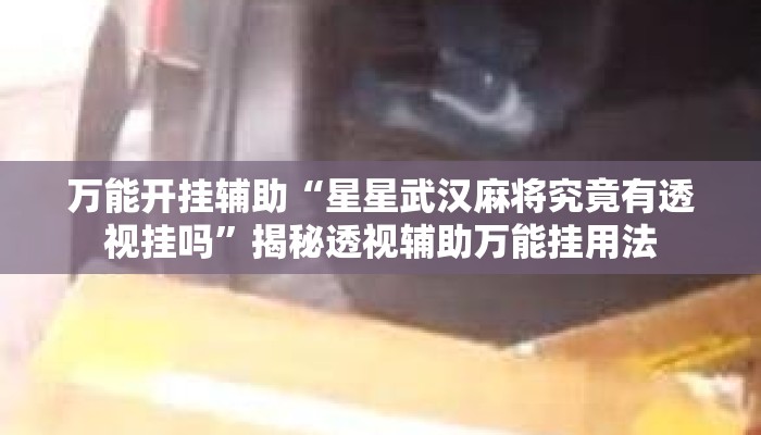 万能开挂辅助“星星武汉麻将究竟有透视挂吗	”揭秘透视辅助万能挂用法