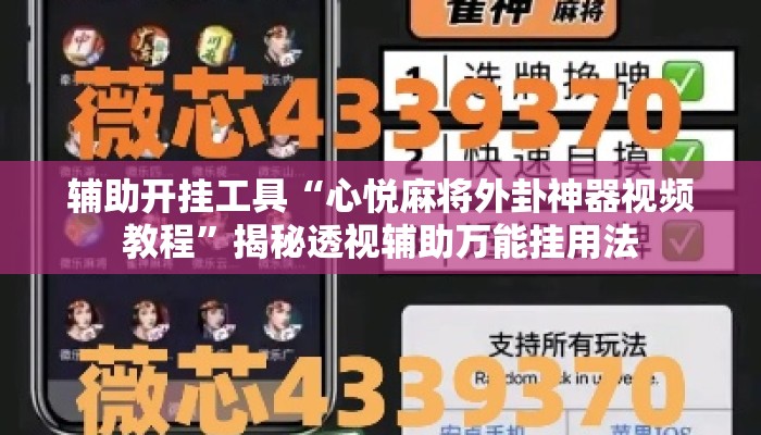 辅助开挂工具“心悦麻将外卦神器视频教程	”揭秘透视辅助万能挂用法