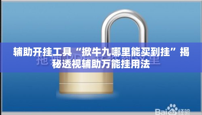 辅助开挂工具“掀牛九哪里能买到挂	”揭秘透视辅助万能挂用法