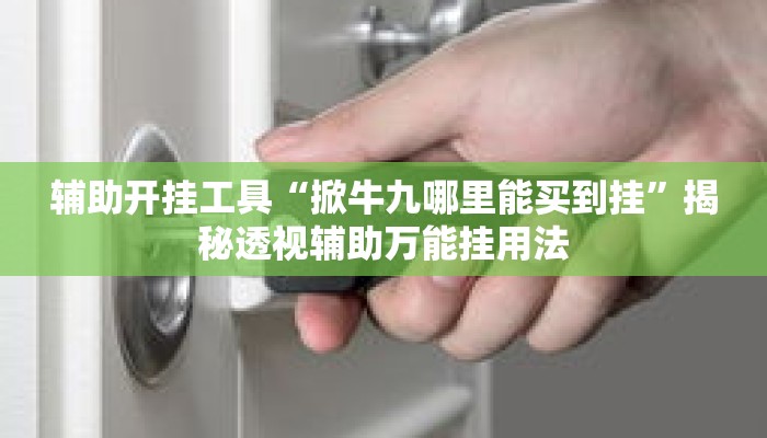 辅助开挂工具“掀牛九哪里能买到挂”揭秘透视辅助万能挂用法