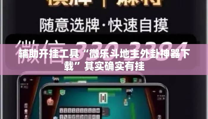 辅助开挂工具“微乐斗地主外卦神器下载”其实确实有挂