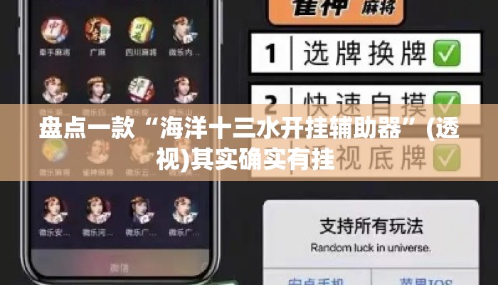 盘点一款“海洋十三水开挂辅助器”(透视)其实确实有挂 