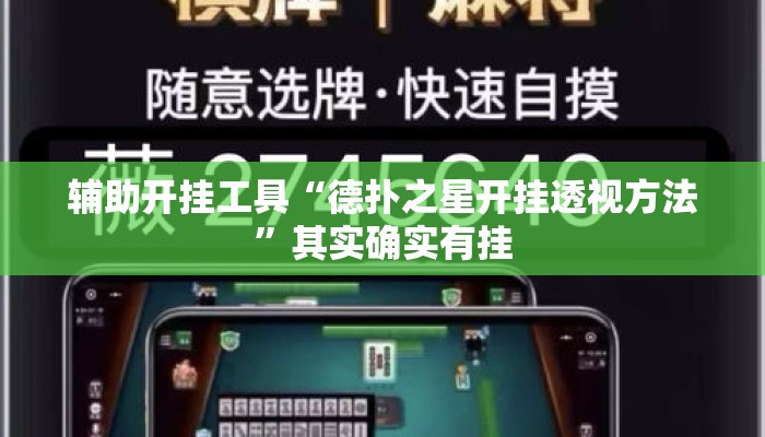 辅助开挂工具“德扑之星开挂透视方法”其实确实有挂