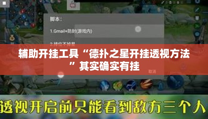 辅助开挂工具“德扑之星开挂透视方法”其实确实有挂