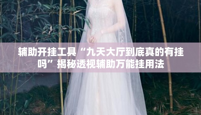辅助开挂工具“九天大厅到底真的有挂吗	”揭秘透视辅助万能挂用法