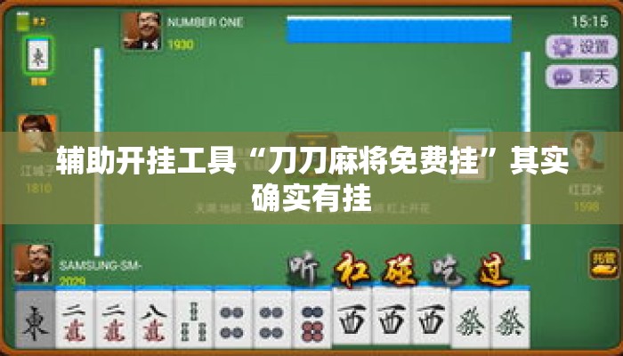 辅助开挂工具“刀刀麻将免费挂	”其实确实有挂