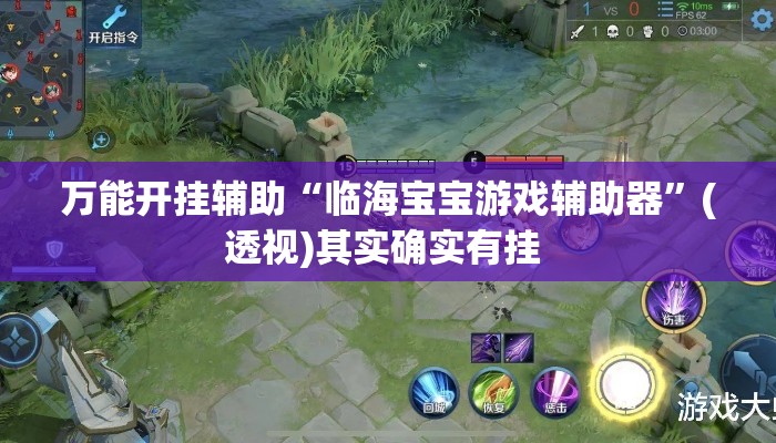 万能开挂辅助“临海宝宝游戏辅助器”(透视)其实确实有挂 