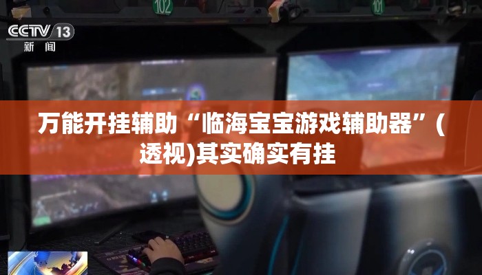 万能开挂辅助“临海宝宝游戏辅助器”(透视)其实确实有挂 