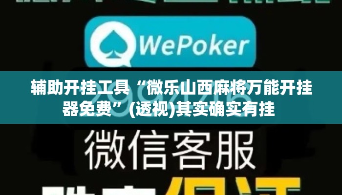 辅助开挂工具“微乐山西麻将万能开挂器免费”(透视)其实确实有挂 